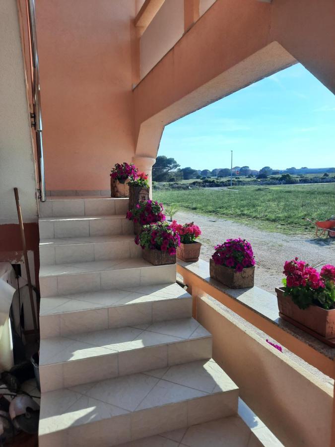 Apartmán Penzion u Kapitána Vir Exteriér fotografie